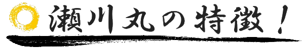 瀬川丸の特徴